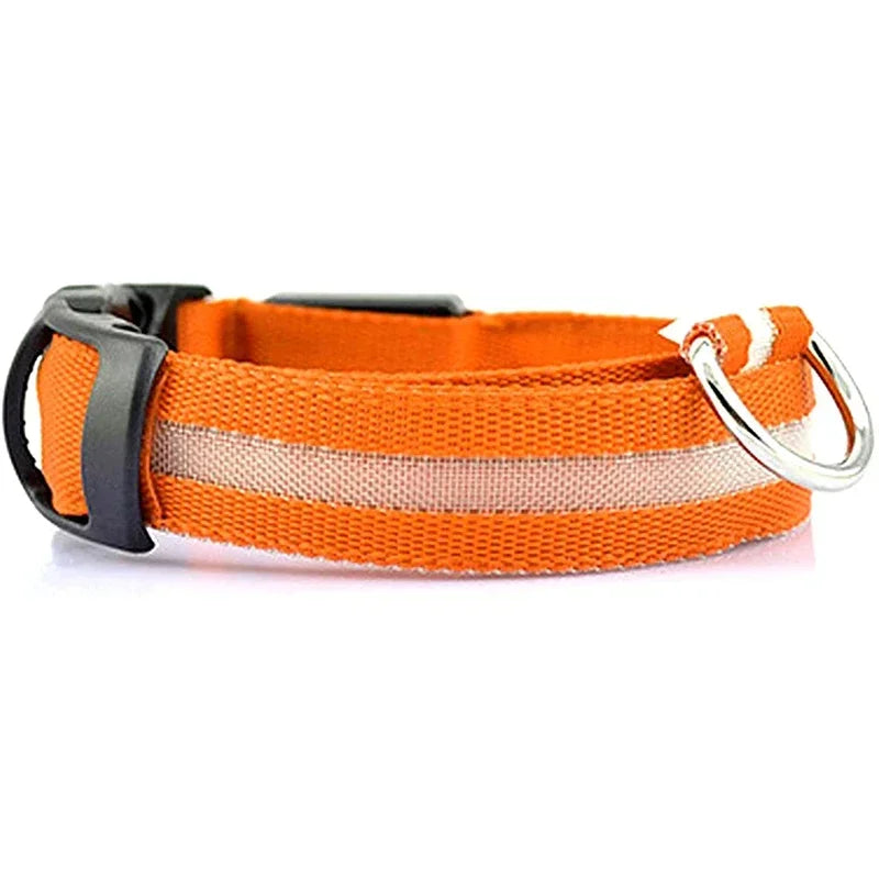 Luminous Waterproof Safety Collar