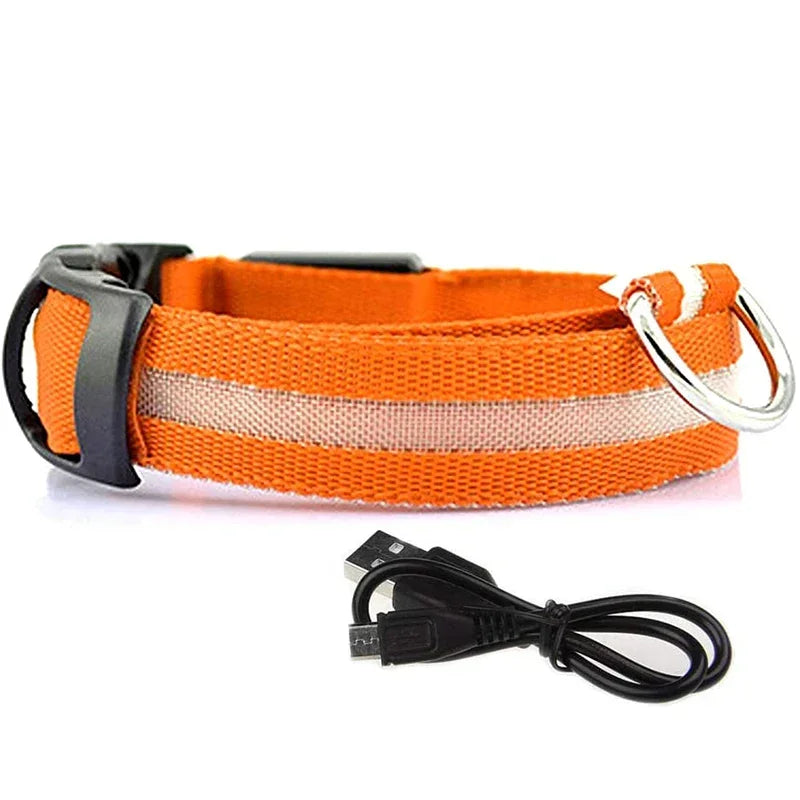 Luminous Waterproof Safety Collar
