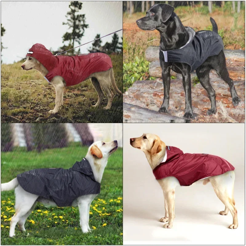 Hooded Dog Raincoat
