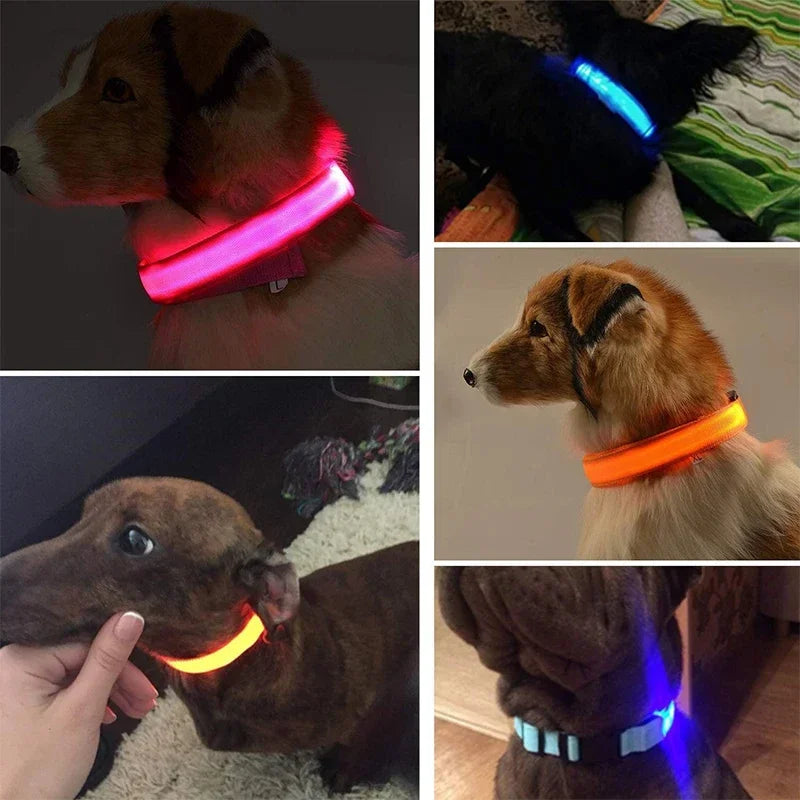 Luminous Waterproof Safety Collar