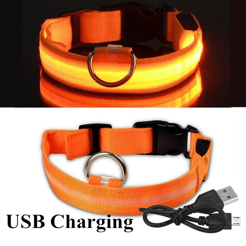 Luminous Waterproof Safety Collar