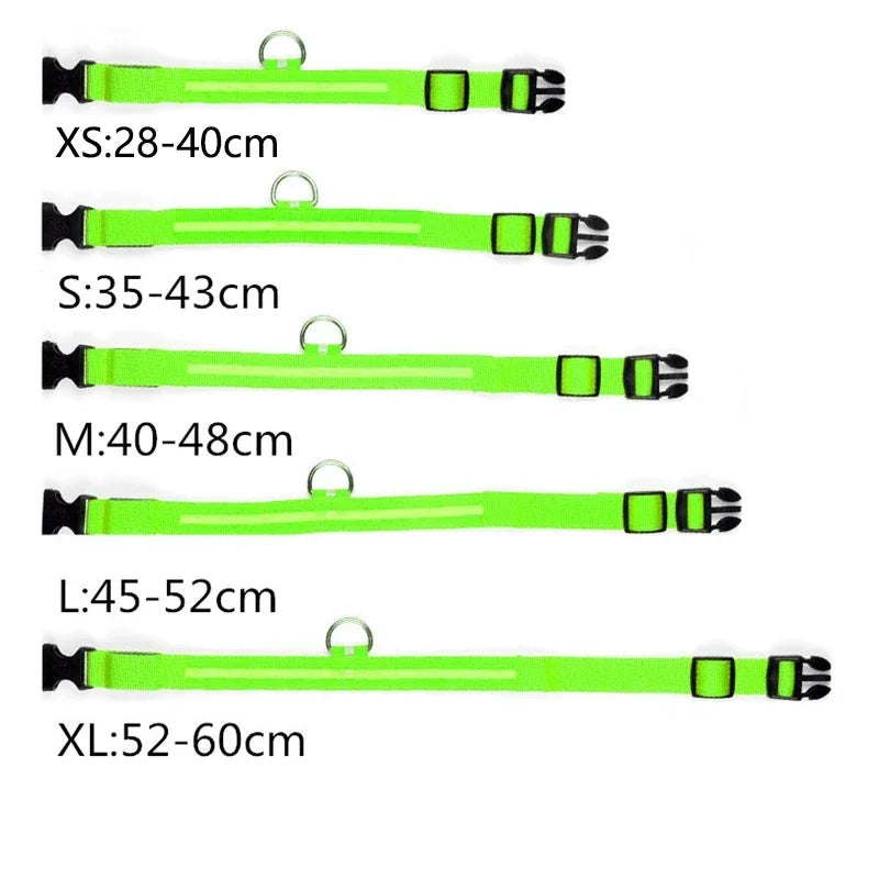 Luminous Waterproof Safety Collar