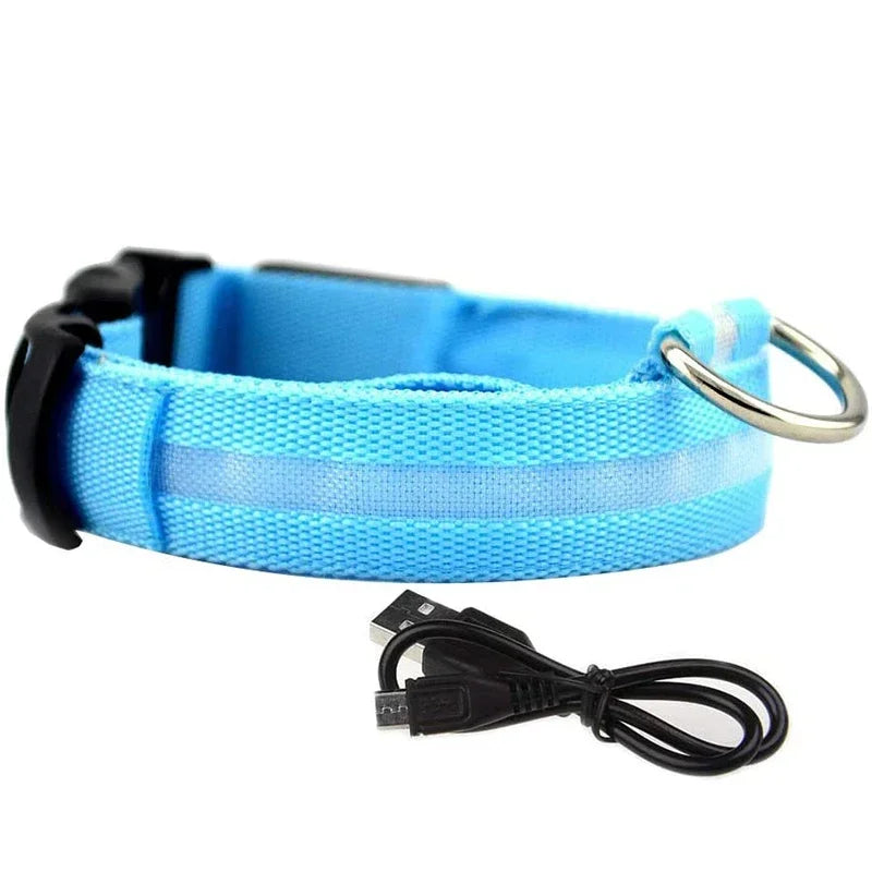 Luminous Waterproof Safety Collar