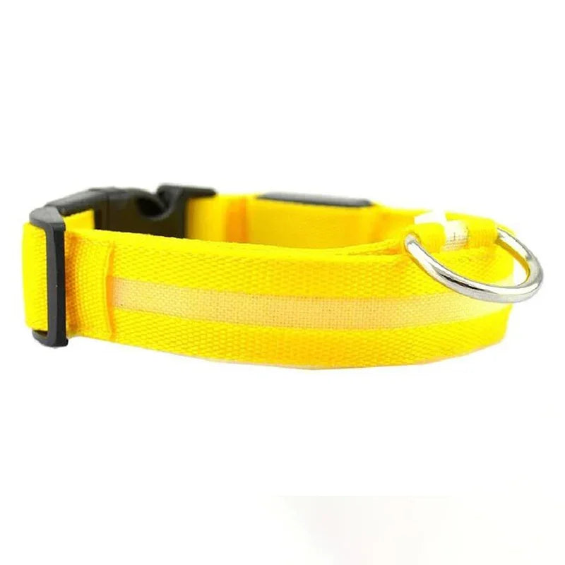 Luminous Waterproof Safety Collar