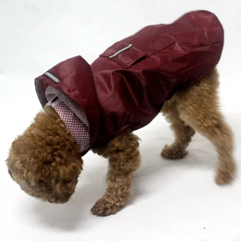 Hooded Dog Raincoat
