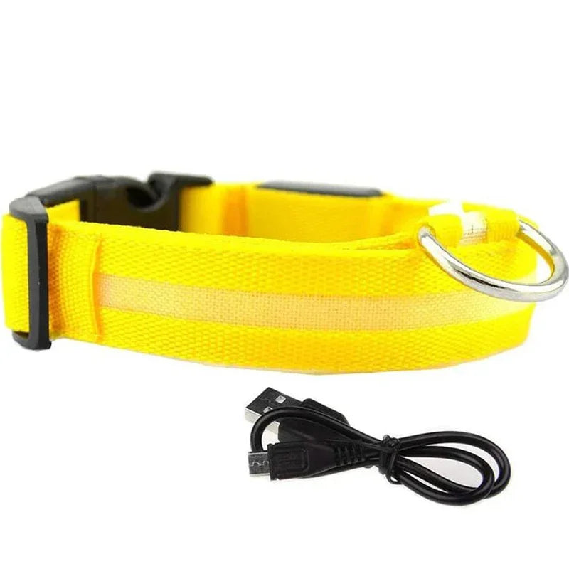 Luminous Waterproof Safety Collar