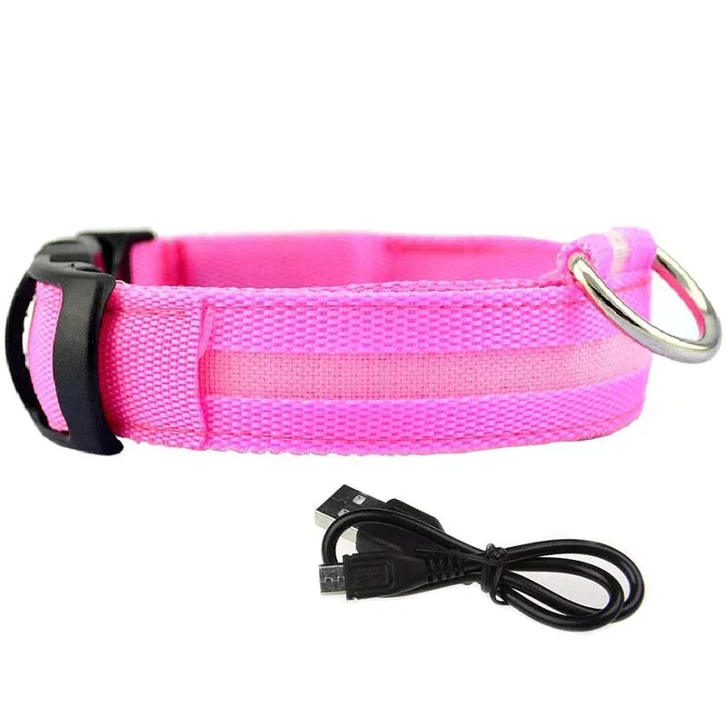 Luminous Waterproof Safety Collar