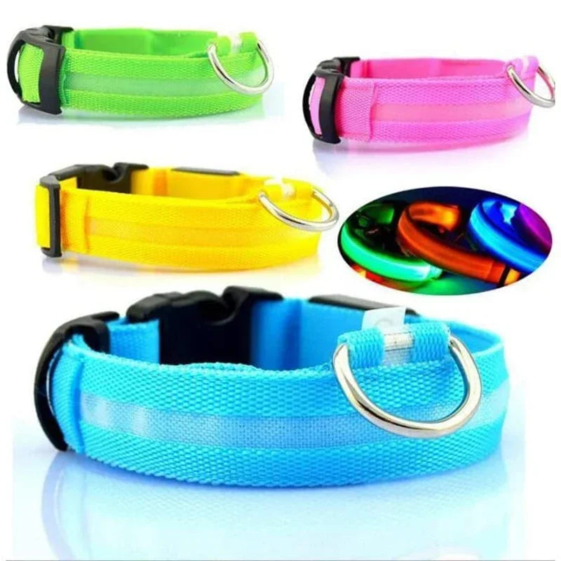 Luminous Waterproof Safety Collar