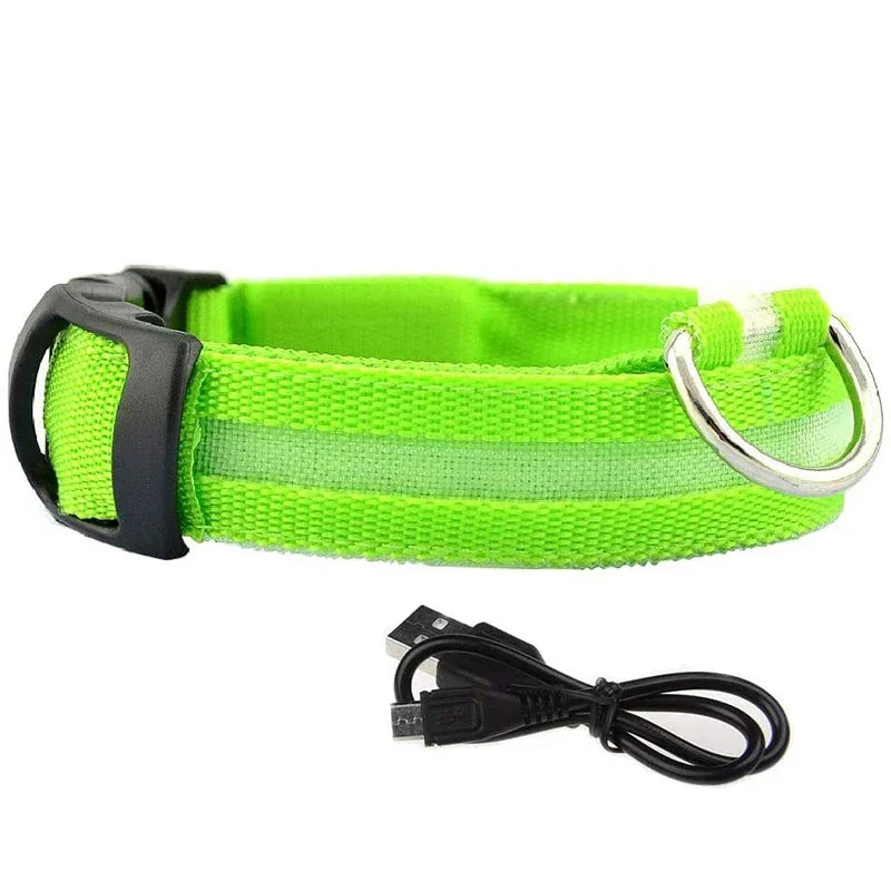 Luminous Waterproof Safety Collar