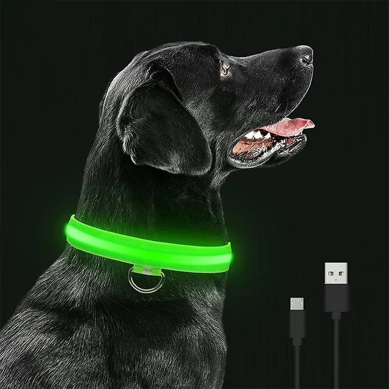 Luminous Waterproof Safety Collar